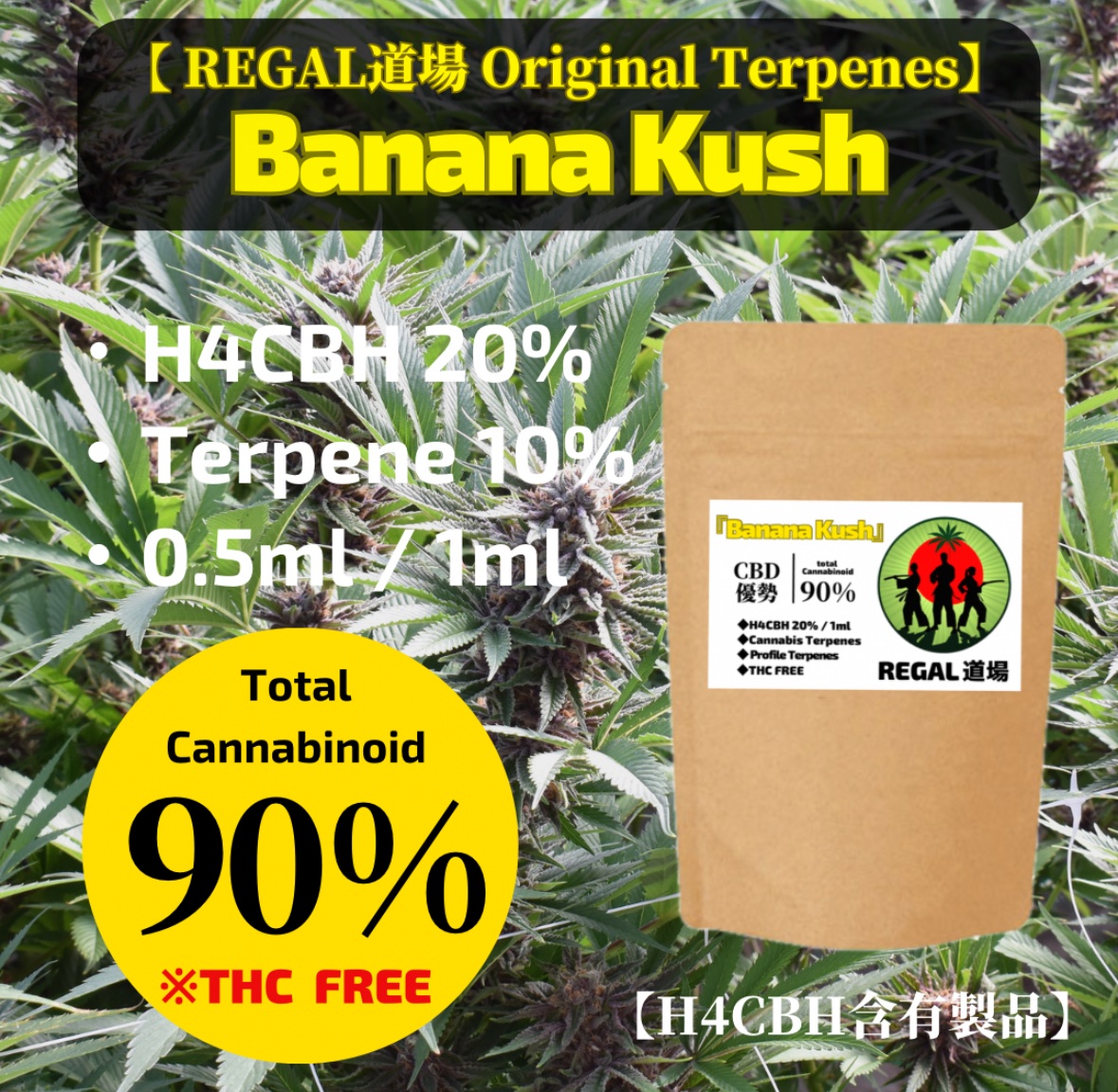 H4CBH20%リキッド【Banana Kush】