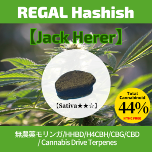 REGAL Hashish【Jack Herer】