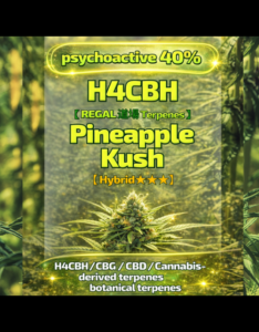 H4CBH40%リキッド【Pineapple Kush】